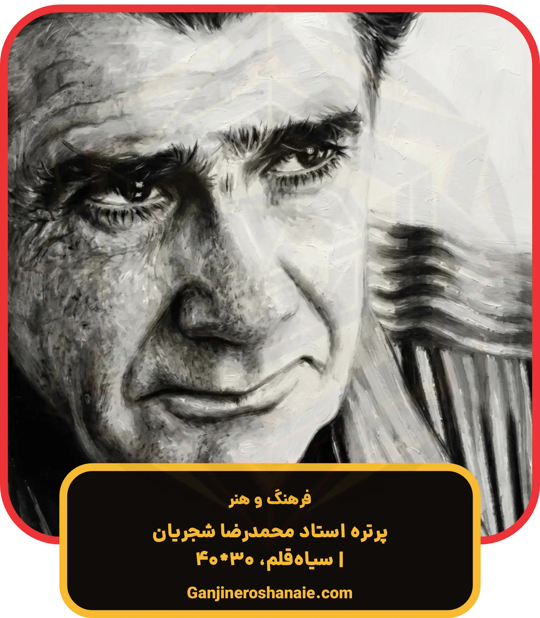 نقاشی چهره سیاه قلم استاد شجریان سایز 30*40